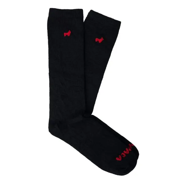 SHARP DRESS SOCKS